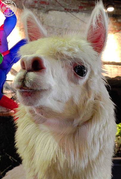 封面.jpg 封面.jpg