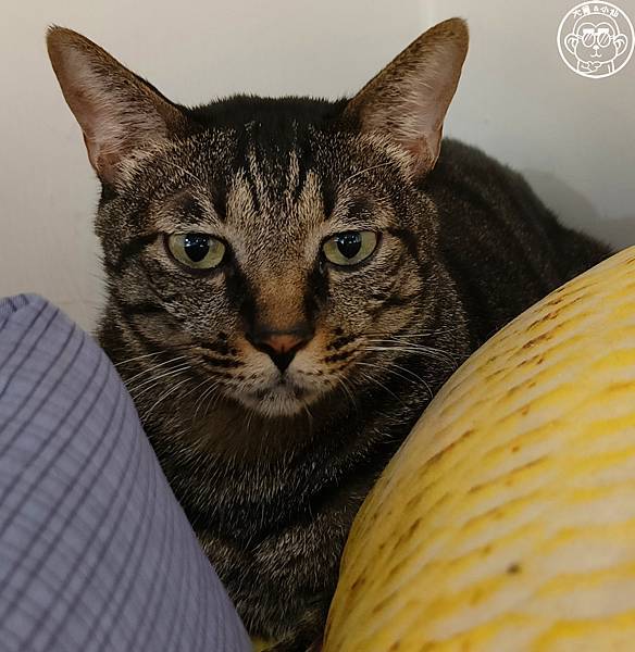 封面.jpg 封面.jpg