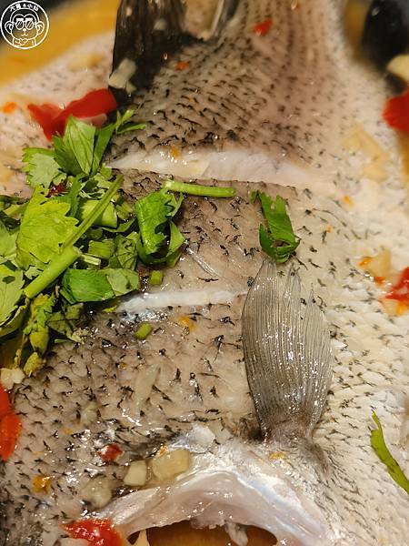 呷飽祙【桃園・湄南小鎮】泰式吃到飽 呷飽祙【桃園・湄南小鎮】泰式吃到飽