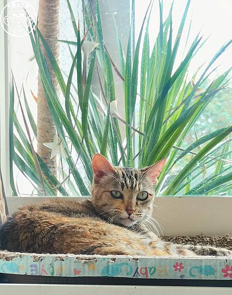 封面.jpg 封面.jpg