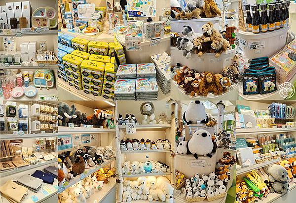 你要去哪裡【日本北海道･旭川市旭山動物園】看點滿滿的動物園