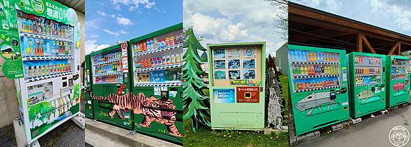 你要去哪裡【日本北海道･旭川市旭山動物園】看點滿滿的動物園