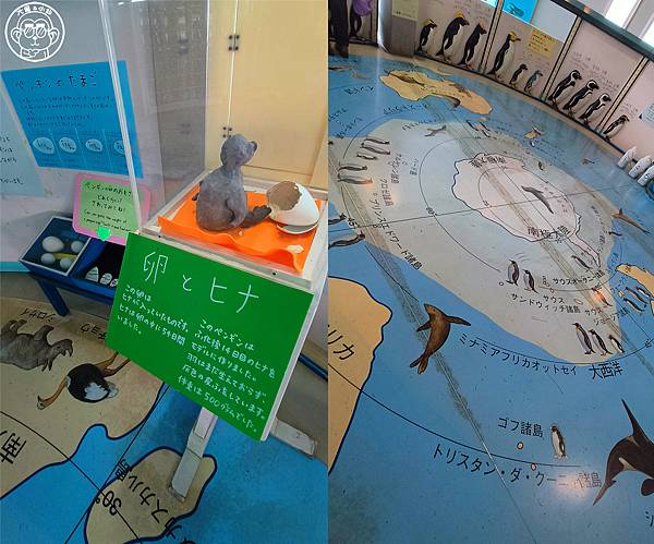 你要去哪裡【日本北海道･旭川市旭山動物園】看點滿滿的動物園