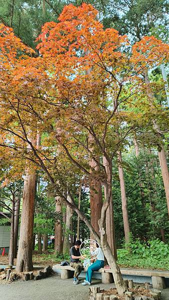 你要去哪裡【日本北海道・北海道神宮】能量景點巡禮 你要去哪裡【日本北海道・北海道神宮】能量景點巡禮
