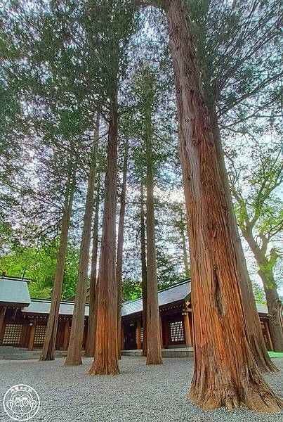 你要去哪裡【日本北海道・北海道神宮】能量景點巡禮 你要去哪裡【日本北海道・北海道神宮】能量景點巡禮