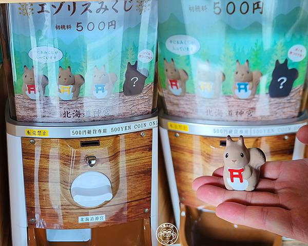 你要去哪裡【日本北海道・北海道神宮】能量景點巡禮 你要去哪裡【日本北海道・北海道神宮】能量景點巡禮