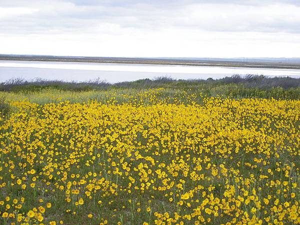 Soda Lake and Monolopia