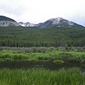 Beaver Ponds