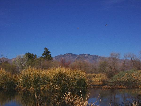 How to make wastewater into sweetwater?