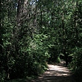 Trail along Lake Mandota, U of W, Madison