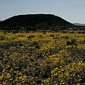 Amroy Crater Nat'l Landmark 火山口