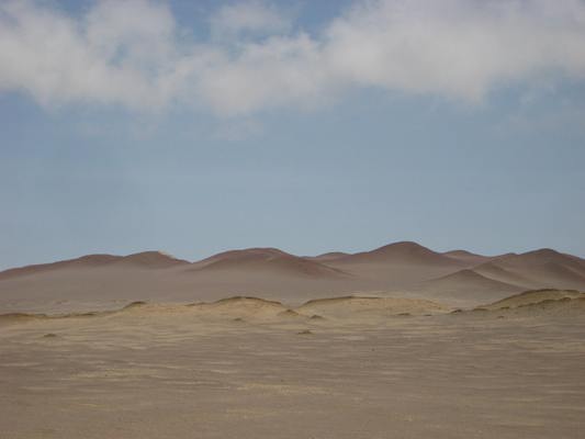 Paracas National Reserve