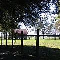 one of the slave houses