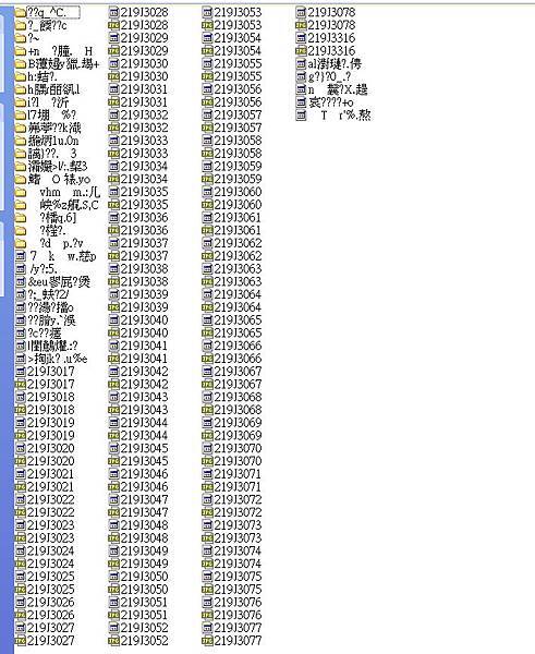 記憶卡壞掉.jpg