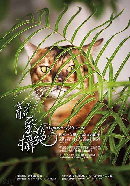 靚貓絕攝S2010.jpg