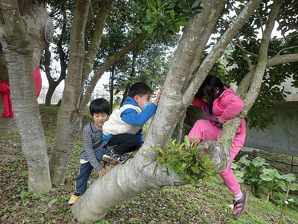 20120325 20120325