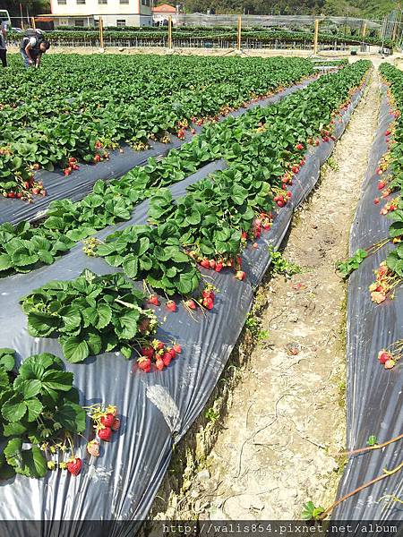 C360_2012-03-25-13-24-59