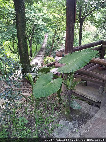 香格里拉農場 (15)