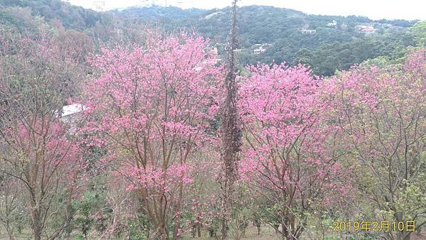 【北投-陽明山-六窟溫泉餐廳】(華哥哥幸福美食報報) 【北投-陽明山-六窟溫泉餐廳】(華哥哥幸福美食報報)