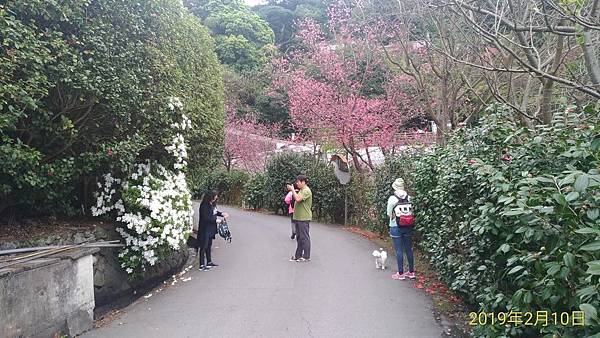 【北投-陽明山-六窟溫泉餐廳】(華哥哥幸福美食報報) 【北投-陽明山-六窟溫泉餐廳】(華哥哥幸福美食報報)