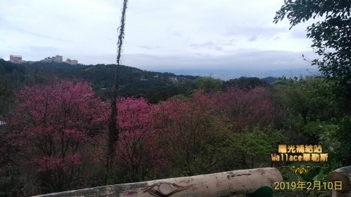 【北投-陽明山-六窟溫泉餐廳】(華哥哥幸福美食報報) 【北投-陽明山-六窟溫泉餐廳】(華哥哥幸福美食報報)