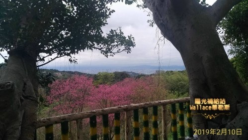 【北投-陽明山-六窟溫泉餐廳】(華哥哥幸福美食報報) 【北投-陽明山-六窟溫泉餐廳】(華哥哥幸福美食報報)