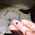thumb