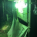 20200726_IMG_4768.JPG