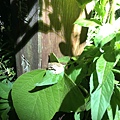 20200727_IMG_4772.JPG