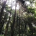 20200727_IMG_4776.JPG