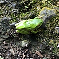 20200727_IMG_4777.JPG