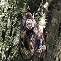 20200727_IMG_4785.JPG