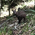 20200728_IMG_4911.JPG