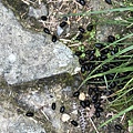 20200728_IMG_4920.JPG
