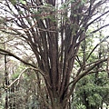 20200728_IMG_4934.JPG