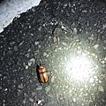 20200728_IMG_4964.JPG
