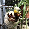 20200729_IMG_5117.JPG