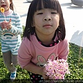 P1240279.JPG
