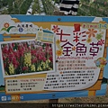 DSC04361.JPG