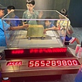 第五週淘金營_240811_38.jpg