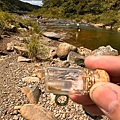 第五週淘金營_240811_90.jpg