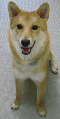 圖2.jpg 圖2.jpg