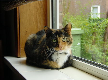 DSC00040