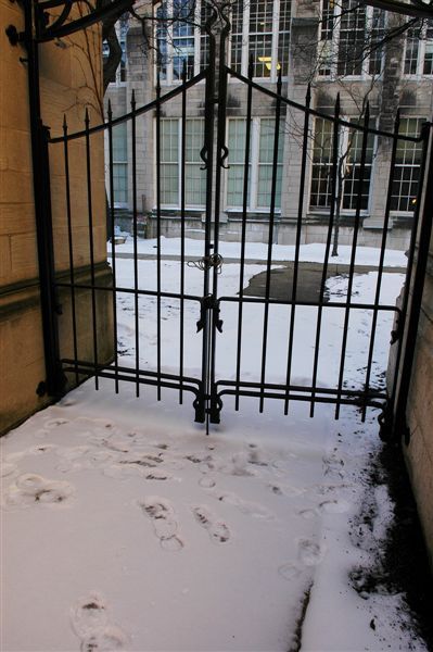 [070219]  21 NW Law Courtyard.jpg