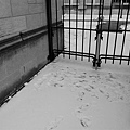 [070219]  22 NW Law Courtyard.jpg