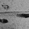 [070207]  32 Lakeshore Ice Scene BW.jpg