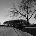 [070207]  42 Lakeshore Ice Scene BW.jpg