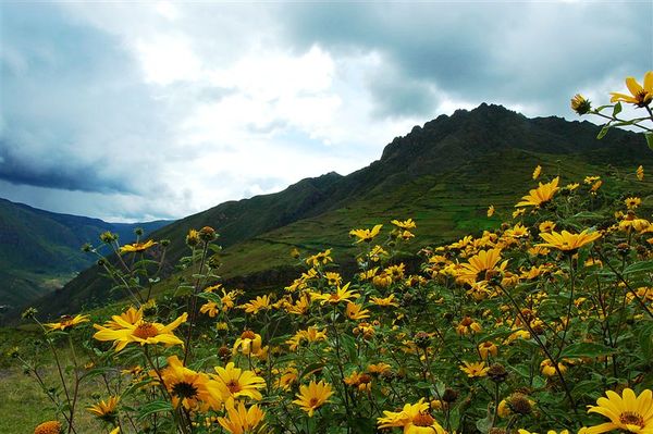 [070313]  114 Lima - Cusco.jpg