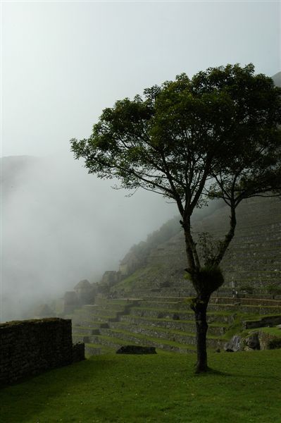 [070314,15]  100 Inca Trail (Machu Picchu).jpg
