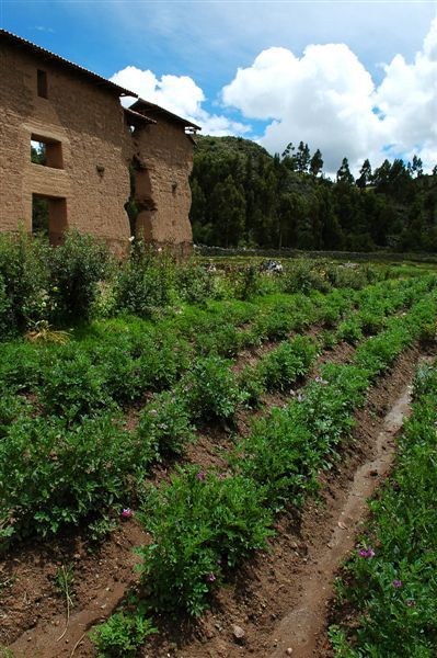 [070316]  019 Cuzco - Puno.jpg